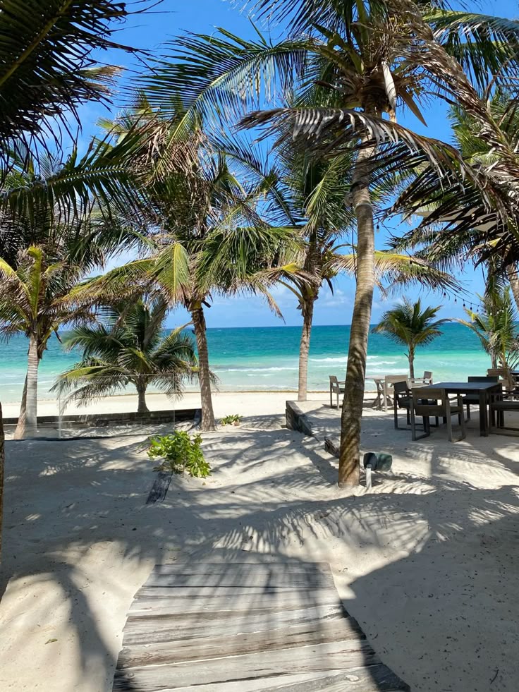 Tulum Beach Tropical beach scene with palm trees, wooden deck, and azure ocean under a clear blue sky. Ideal vacation spot. | Sky Rye Design Tropical beach scene with palm trees, wooden deck, and azure ocean under a clear blue sky. Ideal vacation spot.