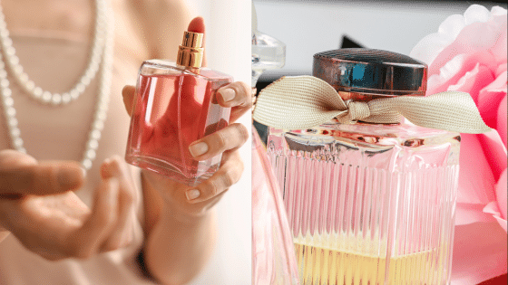 Viewing Deck Blog 1 | Sky Rye Design