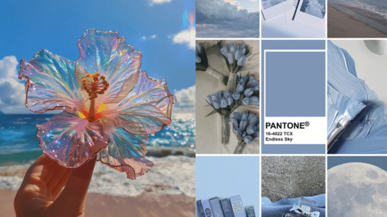 Iridescent flower by the ocean paired with Pantone's Endless Sky blue color palette and nature-inspired images.