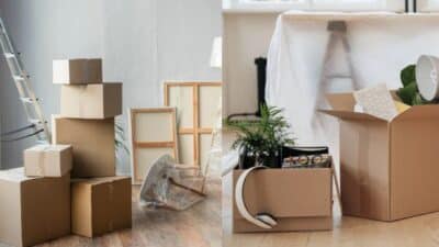 Cardboard boxes and household items ready for a move, with plants and paintings in a bright room.