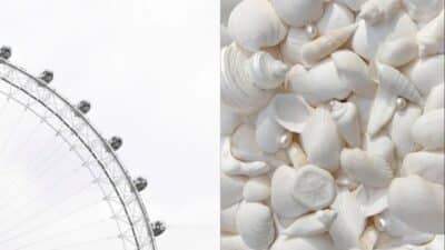 Ferris wheel against sky; collection of white seashells with pearls.