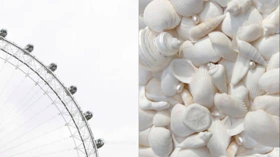 Viewing Deck Blog - 2025-06-26T215549792 Ferris wheel against sky; collection of white seashells with pearls. | Sky Rye Design Ferris wheel against sky; collection of white seashells with pearls.