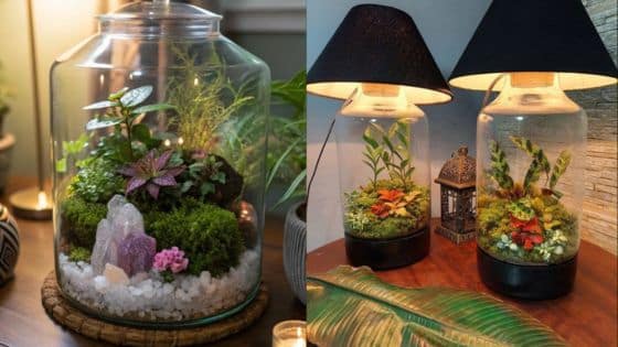 Viewing Deck Blog - 2025-06-26T222602200 Decorative terrariums with lush plants and crystals, illuminated by lamps for a cozy, ambient indoor setting. | Sky Rye Design Decorative terrariums with lush plants and crystals, illuminated by lamps for a cozy, ambient indoor setting.