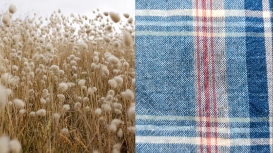 Viewing Deck Blog - 2025-06-30T170534584 | Sky Rye Design