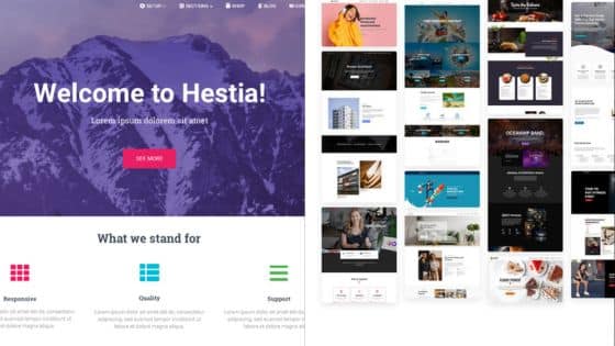 Viewing Deck Blog - 2025-06-30T212207600 | Sky Rye Design