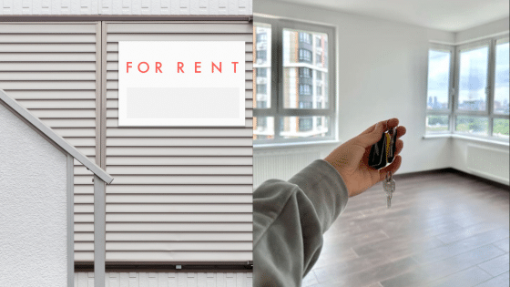 Viewing Deck Blog 4 | Sky Rye Design