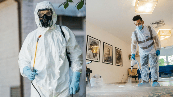 Viewing Deck Blog 4 Person in protective gear conducting outdoor pest control and using equipment for indoor disinfection. | Sky Rye Design Person in protective gear conducting outdoor pest control and using equipment for indoor disinfection.