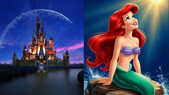 Viewing Deck Blog | Sky Rye Design