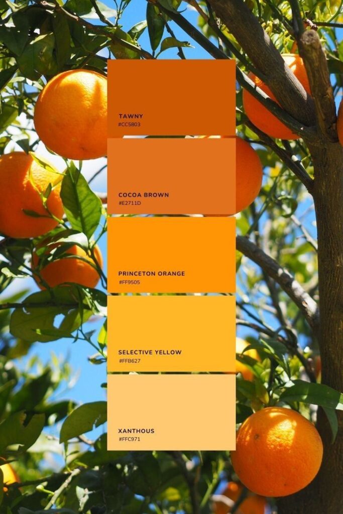 Oranges on a tree with a color palette featuring tawny, cocoa brown, and shades of orange and yellow in sunlight.