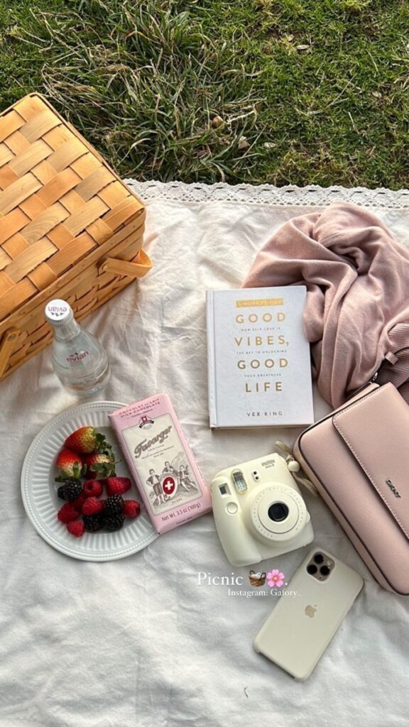 Picnic setup with berries, a book, chocolate, camera, phone, purse, and a water bottle on a blanket.
