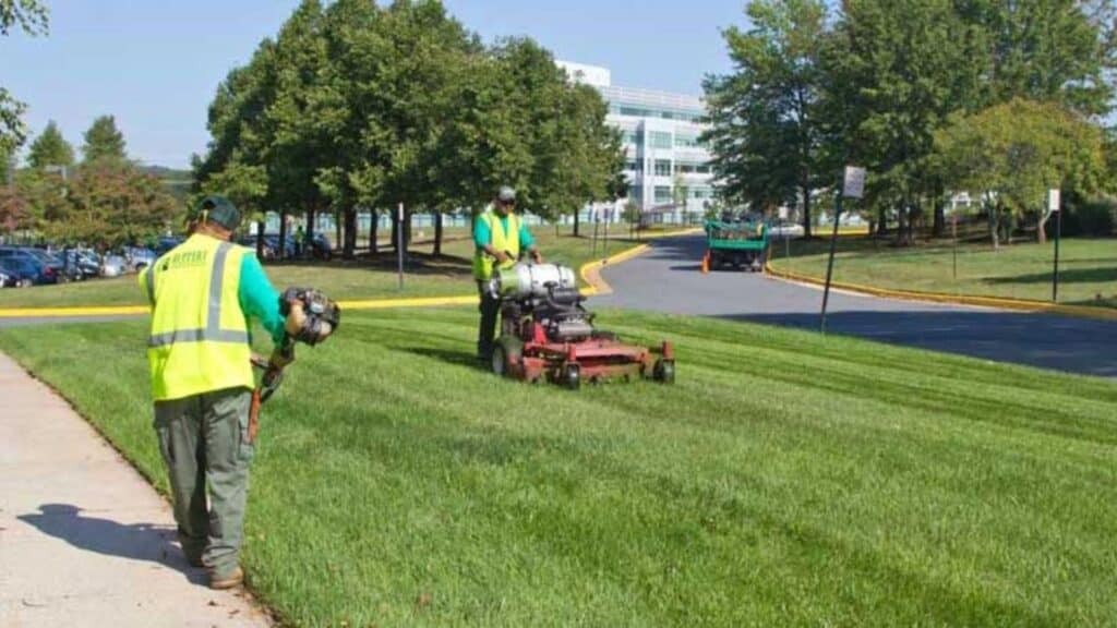 image1 Landscape crew mowing grass in park with machinery under clear sky; lawn care and maintenance. | Sky Rye Design Landscape crew mowing grass in park with machinery under clear sky; lawn care and maintenance.