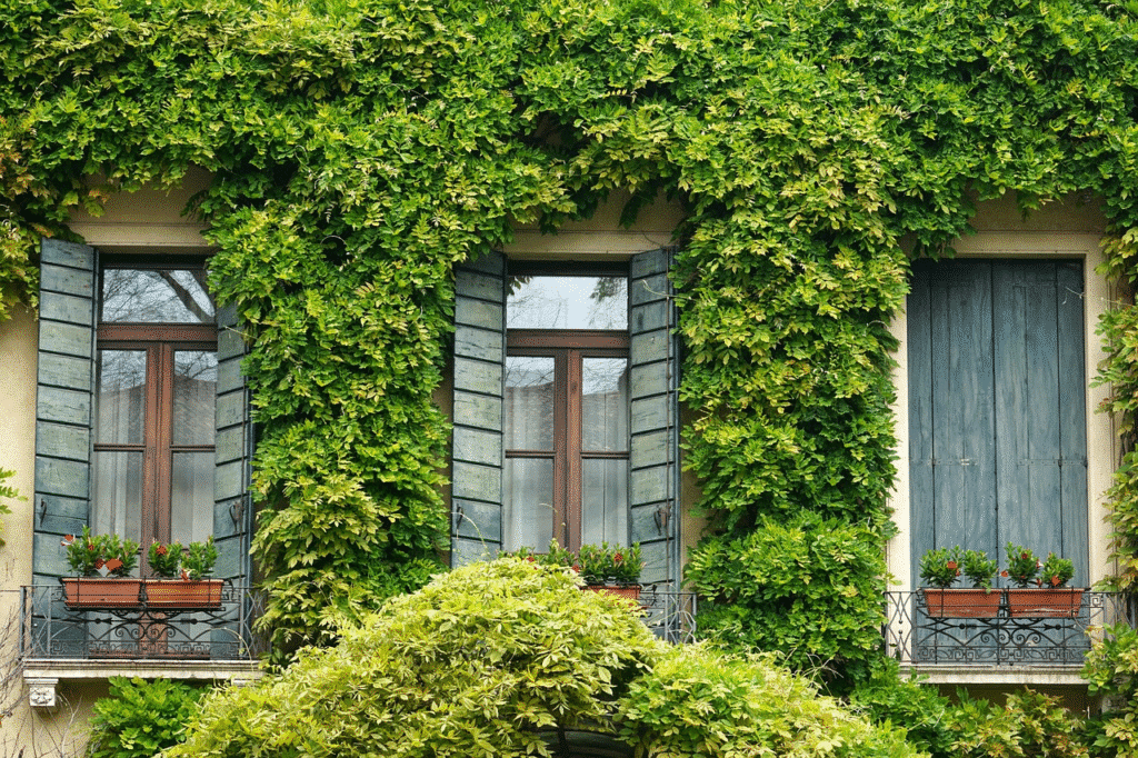 Green ivy-covered building facade with blue shutters, flower boxes, and balcony. Lush, vibrant greenery.