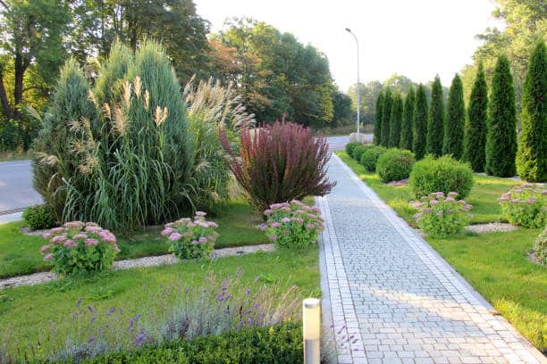 Beautiful landscaped garden with pathway, tall shrubs, and blooming flowers in a serene park setting.