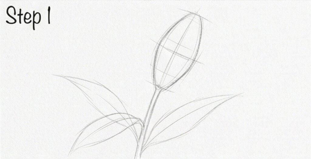 Pencil sketch step 1 of a flower drawing: oval bud on a stem with three long leaves and construction guide lines for a drawing tutorial.