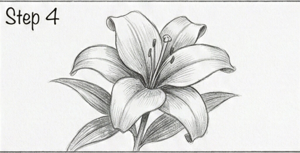 Step 4 pencil sketch of a lily: detailed shaded petals, stamens and leaves — flower drawing tutorial