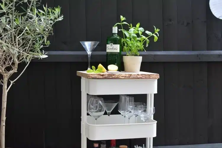 Bar cart with gin bottle, glassware, potted plant, lime, and lemon on rustic deck. Ideal for outdoor entertaining.