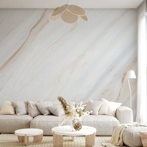 Modern living room with neutral-toned sofa, minimalist decor, and large marble accent wall.