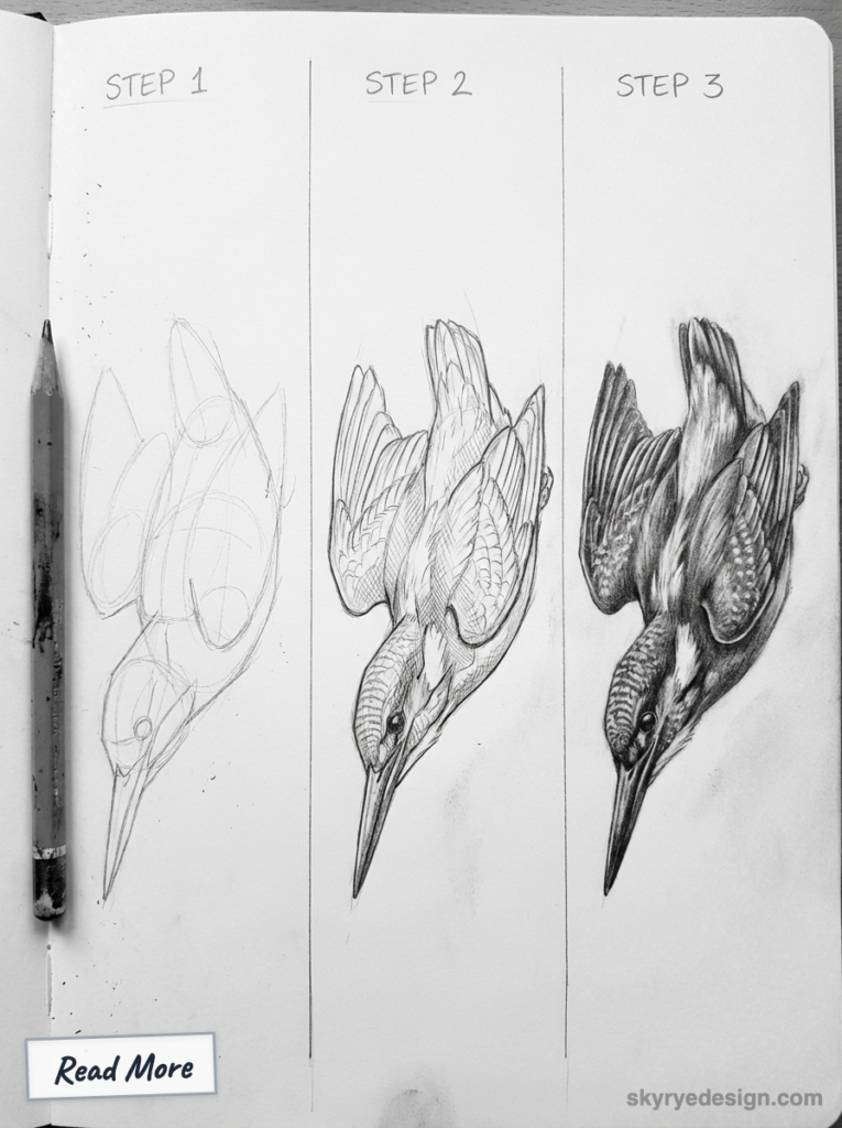 Step-by-step pencil drawing tutorial: kingfisher bird sketch in three stages on a sketchbook page with pencil