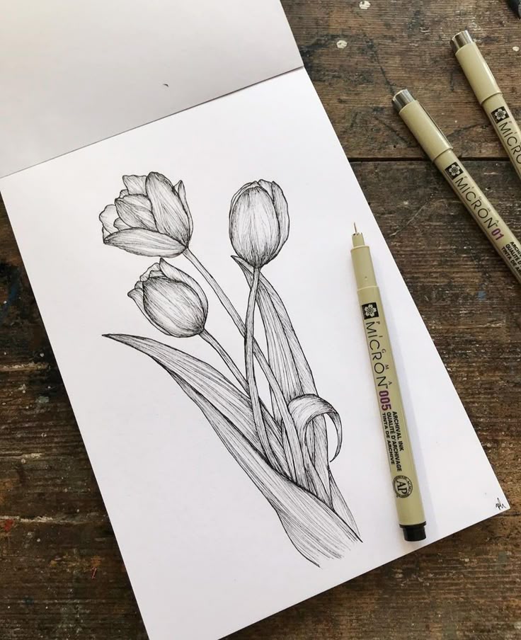 Black and white tulip sketch on paper with Micron pens lying on a wooden surface.