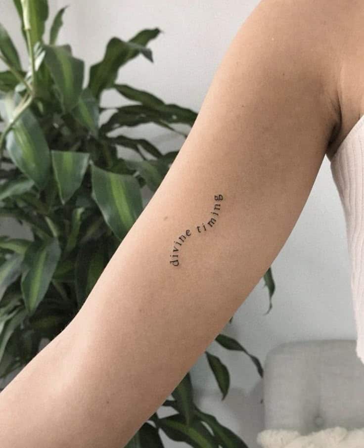 Arm tattoo with curved text divine timing in front of a leafy plant.