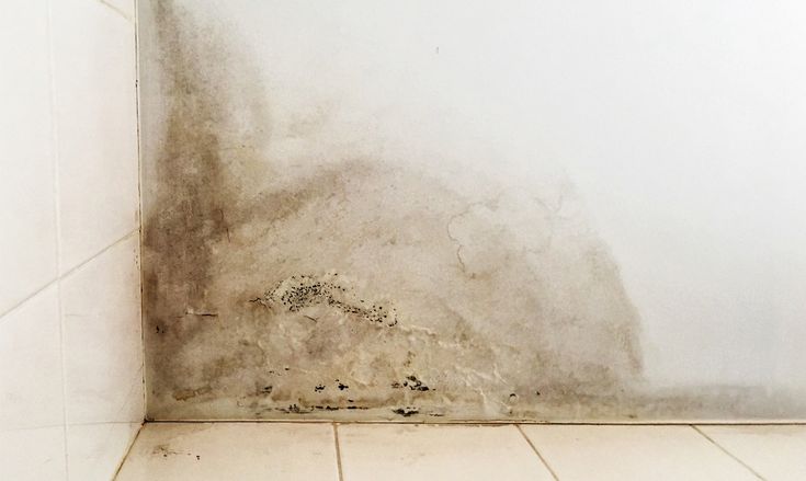Как обнаружить протечку трубы в стене Mold growth on white interior wall corner near tiled floor, indicating damp problems and need for remediation. | Sky Rye Design Mold growth on white interior wall corner near tiled floor, indicating damp problems and need for remediation.
