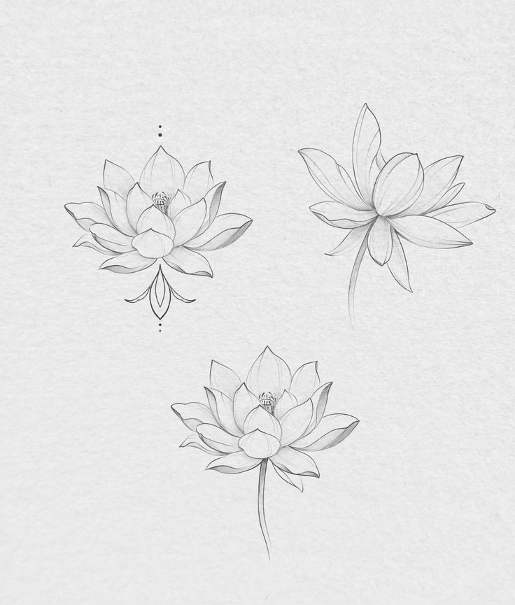 Эскизы тату лотос 🪷 Лотос-символ чистоты духовного возрождения и гармонии | Sky Rye Design