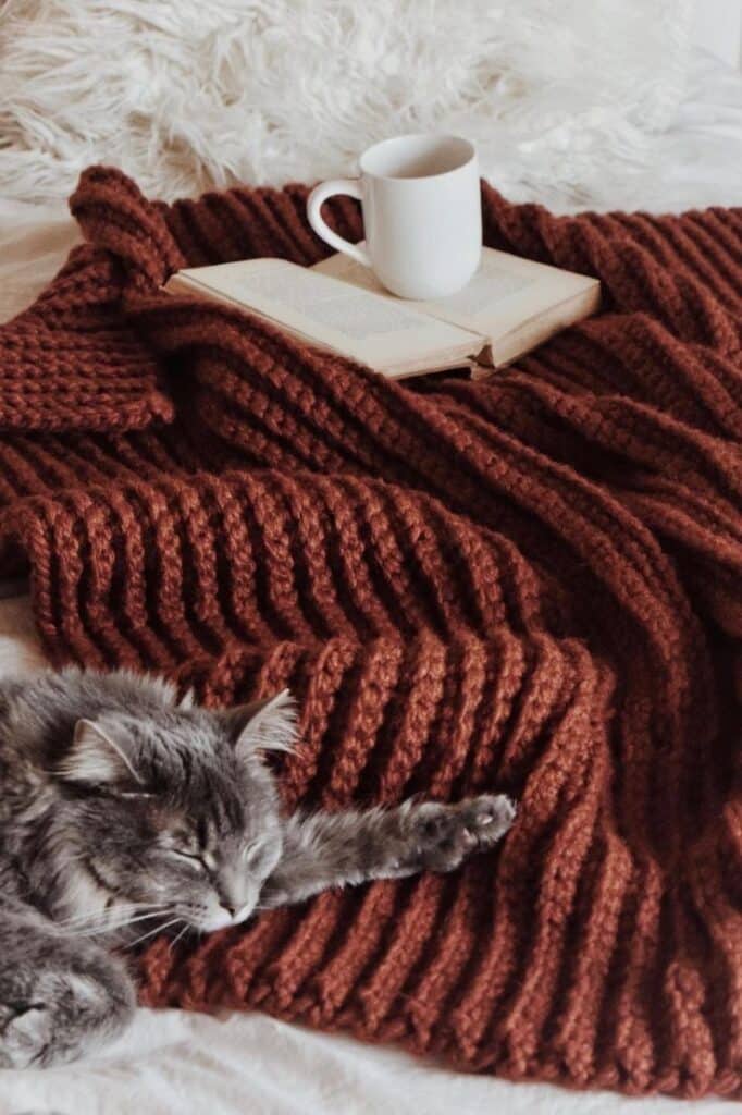 Cozy scene: cat sleeping on a knit blanket, open book, and coffee mug on a bed with fluffy pillow.