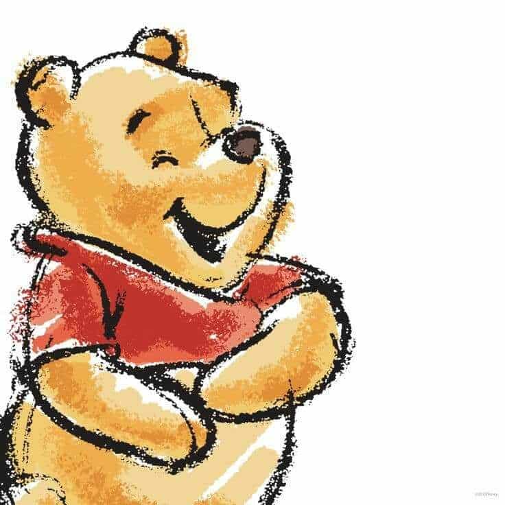 Cute bear in a red shirt smiling warmly, illustration with a playful, colorful style.