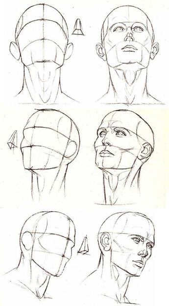 Sketches of a human head in various angles, showing artistic techniques for drawing anatomy and perspective.