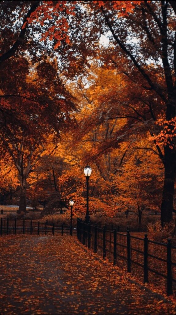 Serene autumn park scene with a leaf-covered path, vibrant orange foliage, and glowing lampposts lining the walkway.