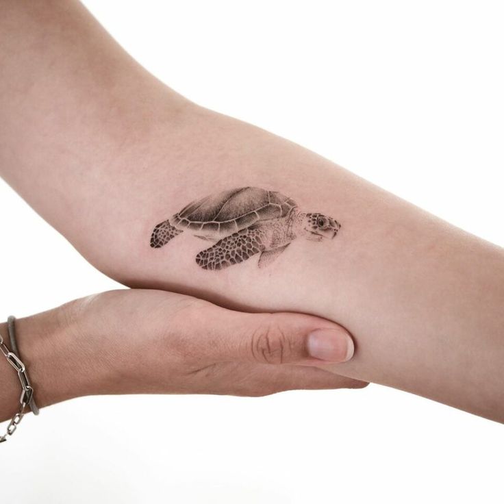 Realistic turtle tattoo on forearm, close-up, two hands gently holding arm.