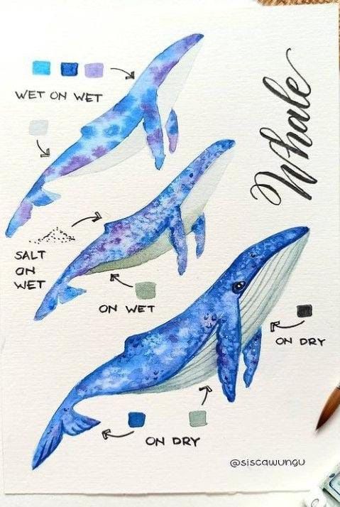 Illustration showing watercolor techniques on three whale paintings: wet on wet, salt on wet, on dry.