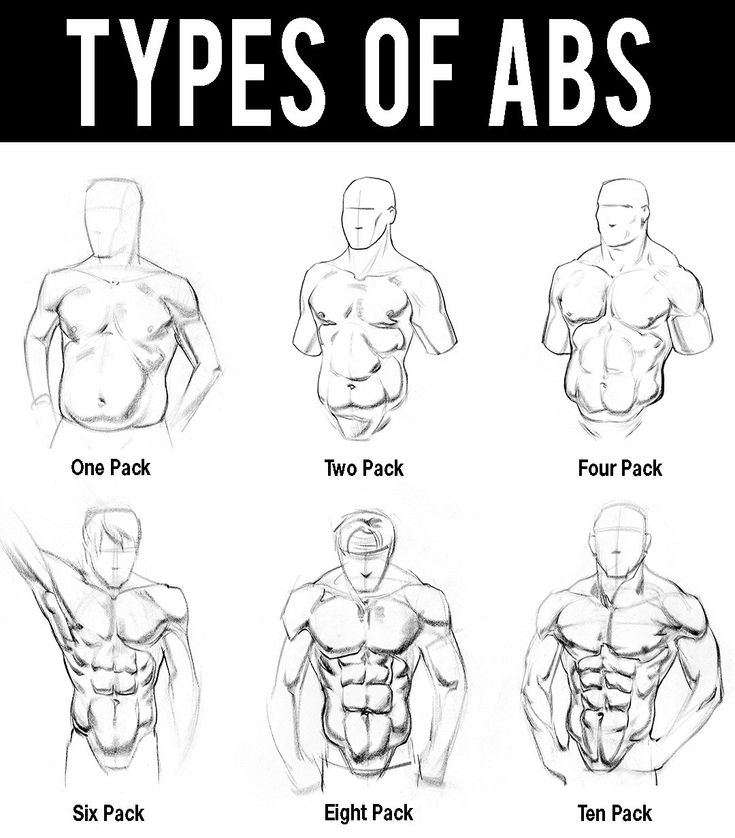 Illustration of six types of abs: one pack, two pack, four pack, six pack, eight pack, and ten pack.