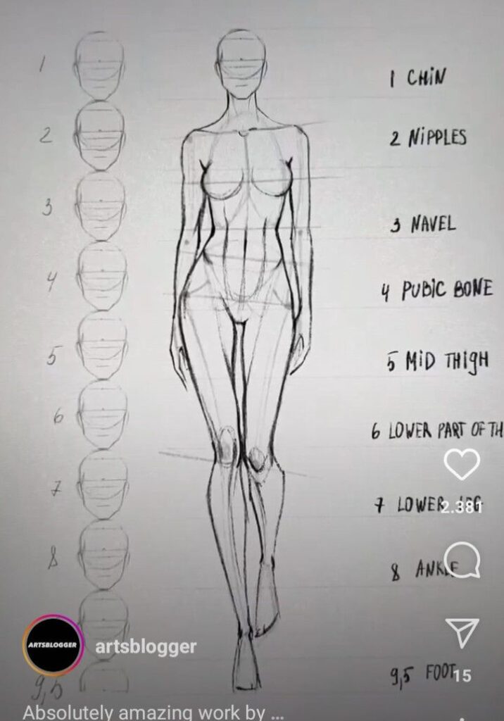 Illustrated guide to human anatomy proportions featuring a sketched female figure with labeled body parts.