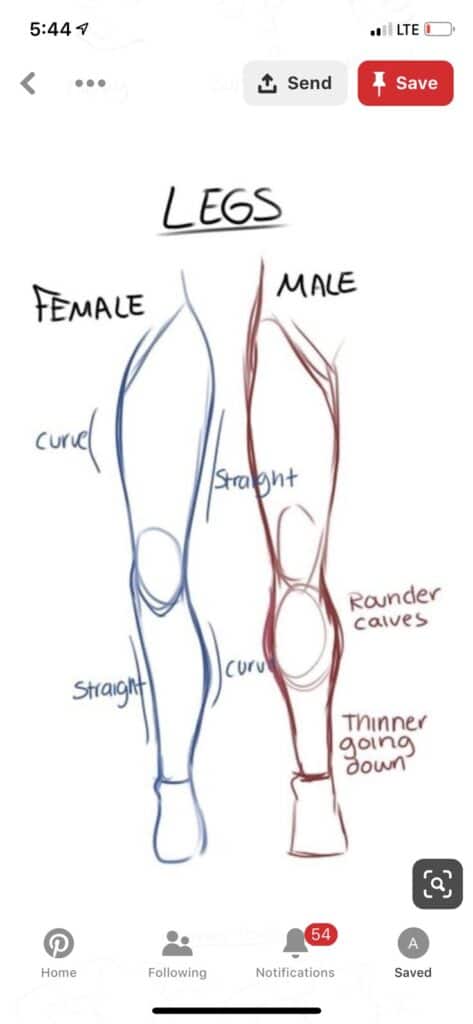 Drawing comparison of female and male leg shapes with labeled anatomical differences.