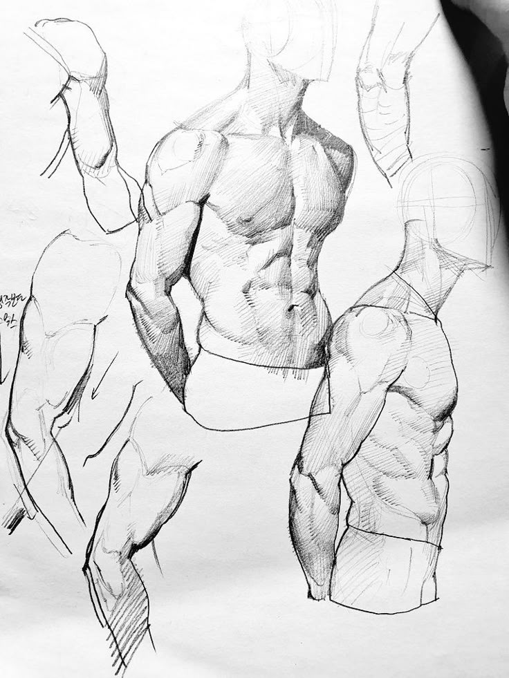 Pencil sketches of a muscular male torso and arms, showcasing anatomy and shading techniques on white paper.