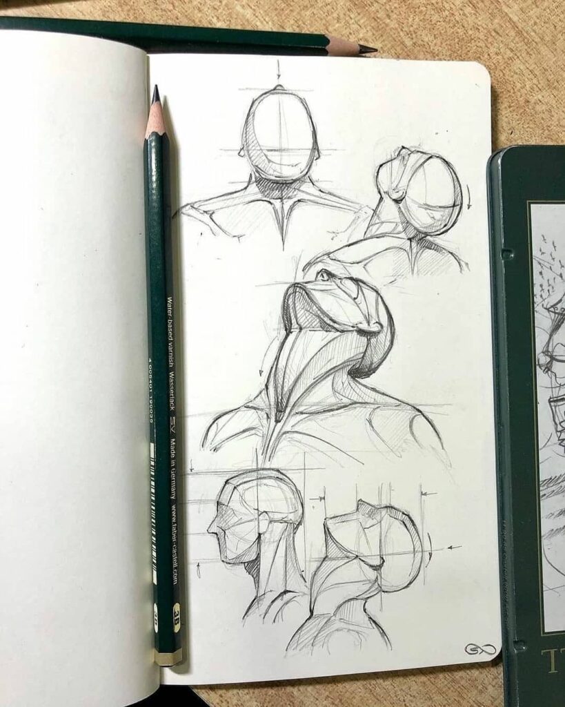 Sketchbook with pencil drawings of human neck anatomy, showcasing different angles and muscle structures.