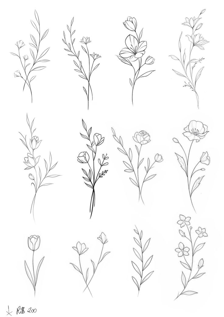 Watercolor Floral Sketches: Inspiration for Beginners