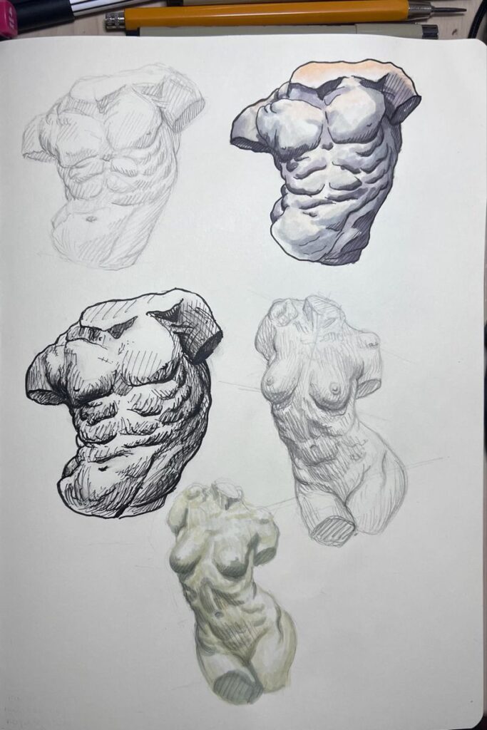 96afbf58d1e5f87f85f0d55bc3fc9cb1 Sketches of various classical torso sculptures on paper, with pencils visible in the background. | Sky Rye Design Sketches of various classical torso sculptures on paper, with pencils visible in the background.