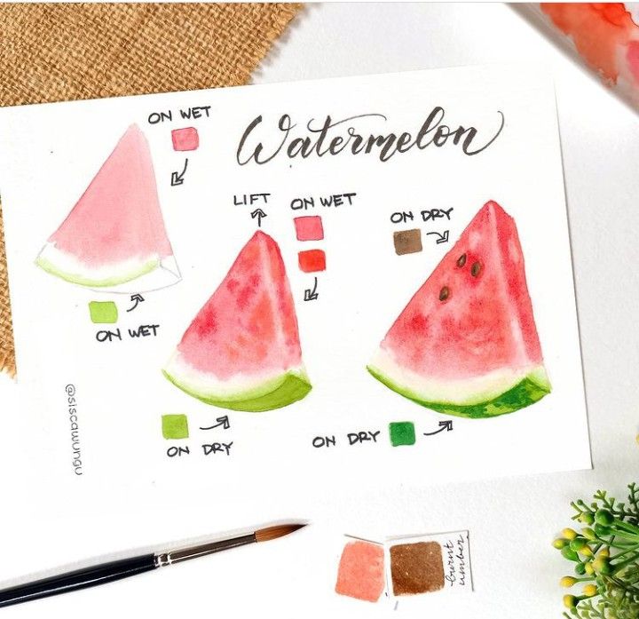 Watercolor watermelon illustration guide on wet and dry techniques with brush and color swatches.