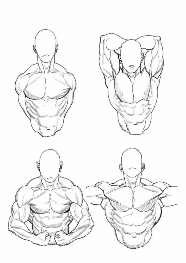 Sketch of a muscular human figure showing various poses, highlighting anatomy and muscle definition.