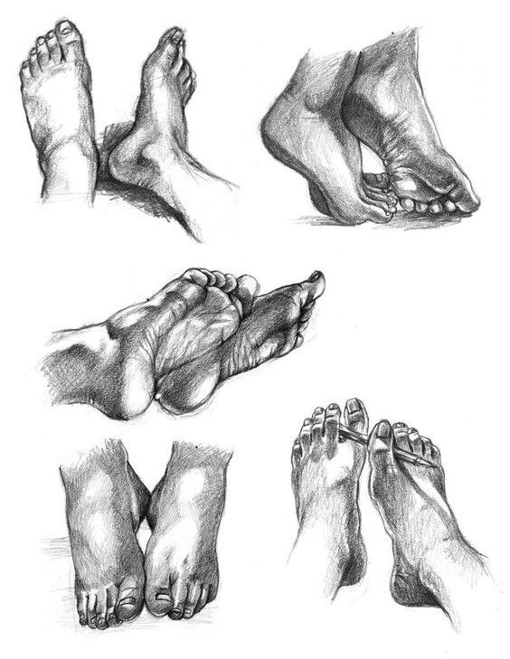 Pencil sketches of bare feet in various poses, showcasing detailed anatomy and realistic shading.