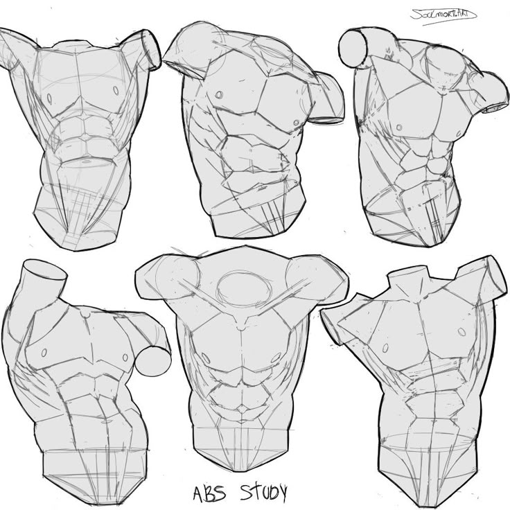 Sketches of male torsos focusing on abdominal muscles from different angles for anatomy study.