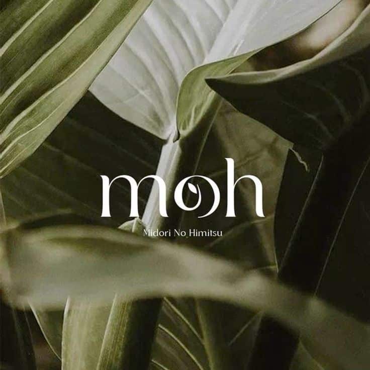 Green leaves with 'moh' text overlay, representing Midori No Himitsu, nature-inspired theme