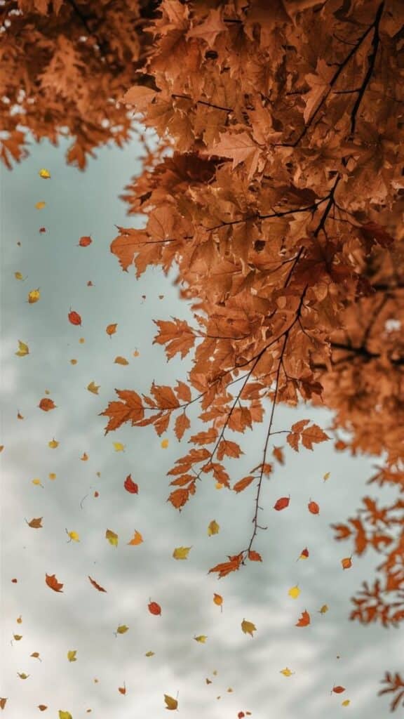 Autumn leaves falling from a tree against a cloudy sky, symbolizing the changing seasons.
