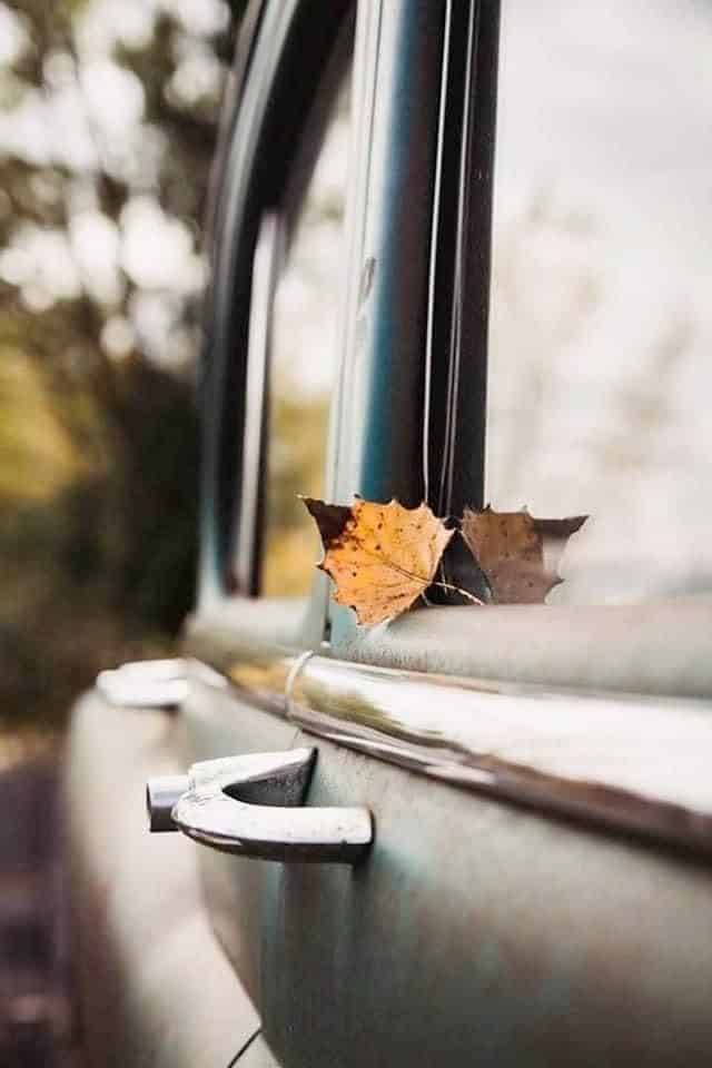 A dry leaf rests on a vintage car window, evoking autumn nostalgia and classic automotive charm.