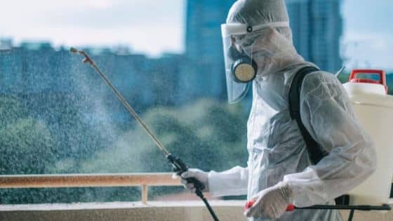 Protect Business with the Best Pest Control Services in | Sky Rye Design