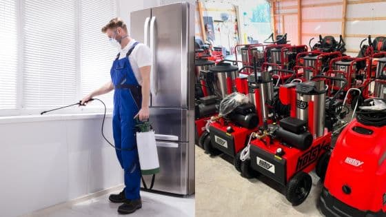 The Hidden Dangers of Ignoring a Pest Problem | Sky Rye Design