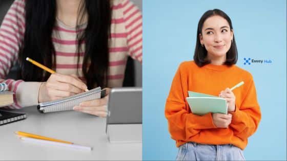 Viewing Deck Blog - 2025-07-02T134528449 | Sky Rye Design