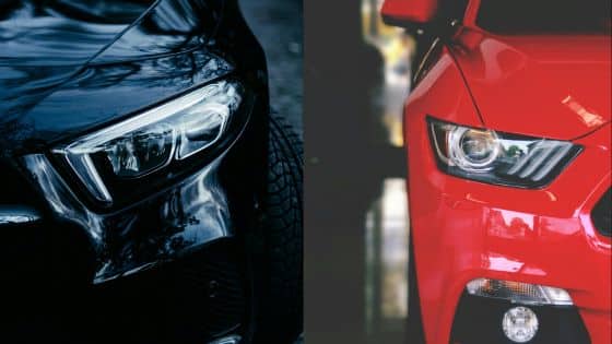 Viewing Deck Blog - 2025-07-08T190823577 | Sky Rye Design